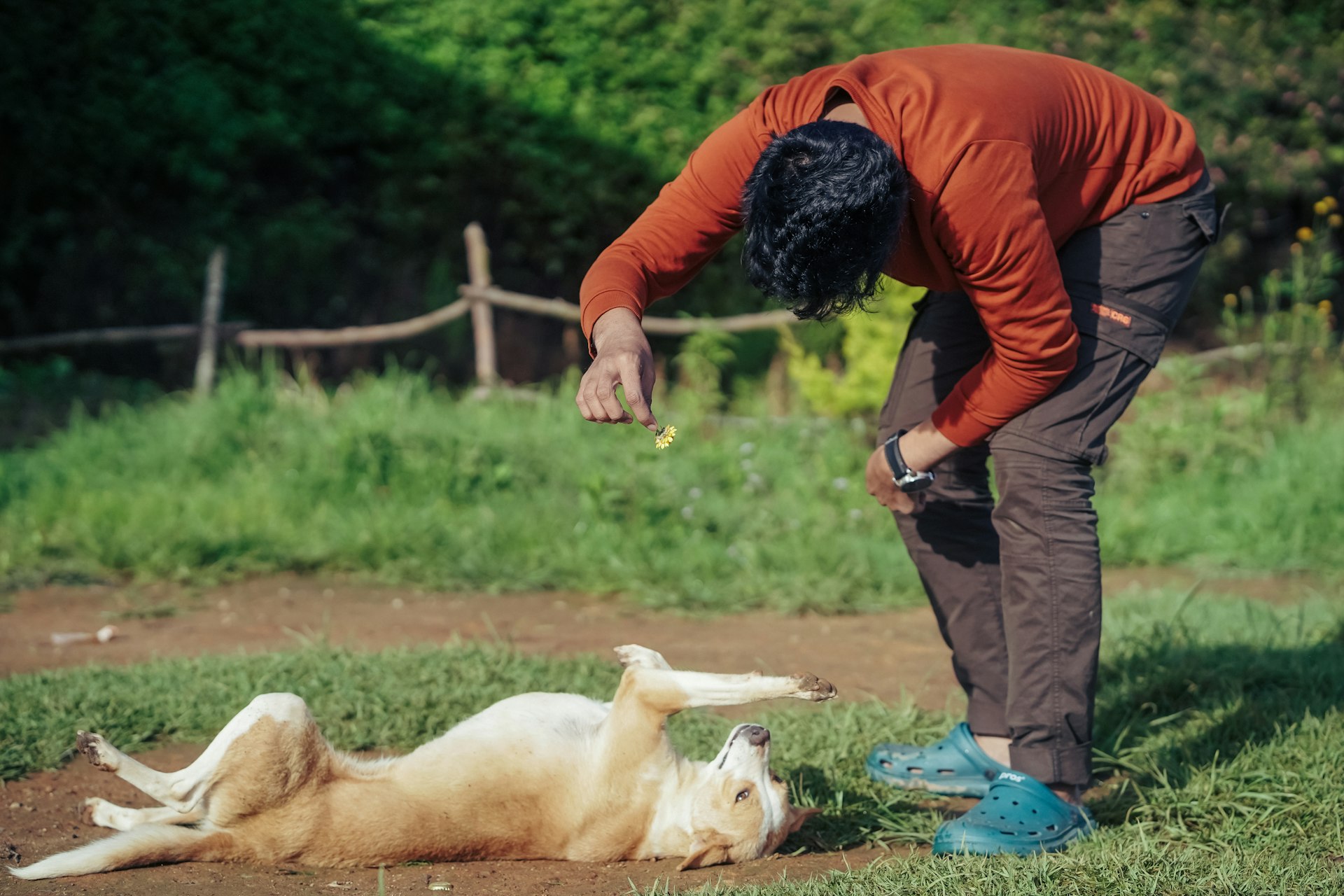 a man petting a dog